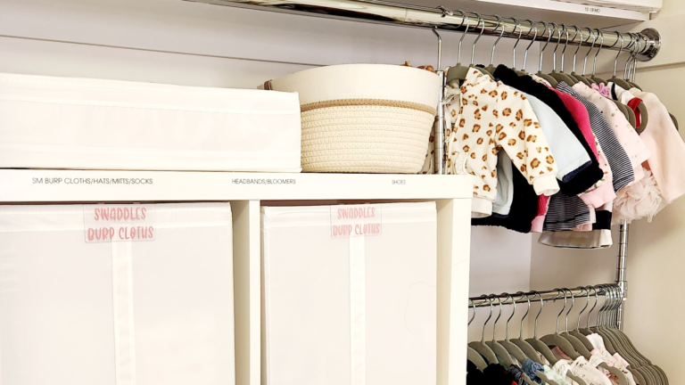 Closet Chronicles: Optimizing Space for Twin Baby Girls